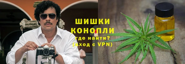 ECSTASY Алзамай