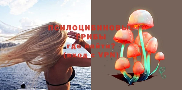 гашик Алексин