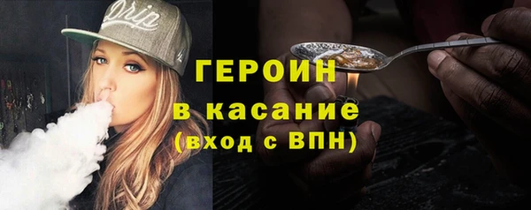 гашик Алексин