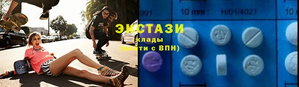гашик Алексин