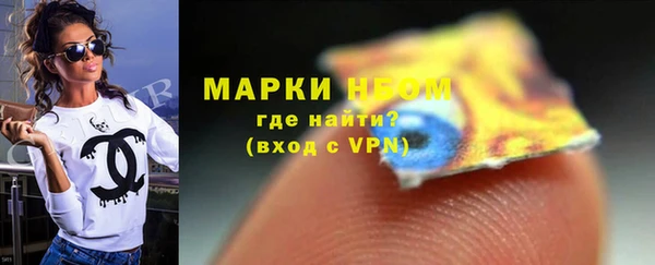 гашик Алексин