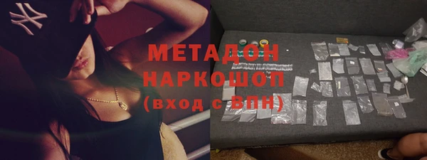 гашик Алексин