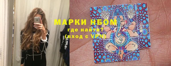 ECSTASY Алзамай