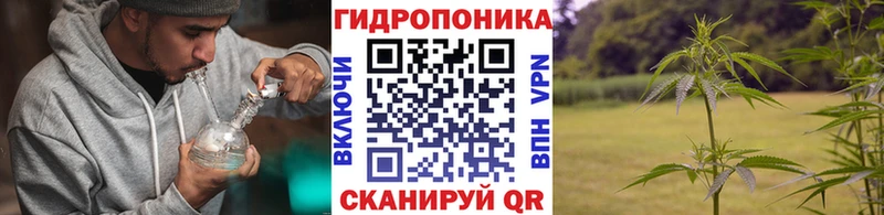 omg маркетплейс  Мураши  Каннабис White Widow  наркошоп 